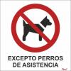 Aman.pt - Entrada Prohibida a perros (excepto perros de asistencia)